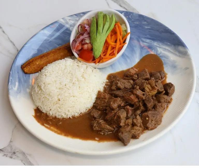 SECO DE CARNE